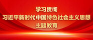 啊嗯啊用力操我逼学习贯彻习近平新时代中国特色社会主义思想主题教育_fororder_ad-371X160(2)